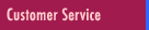 Our Customer Service